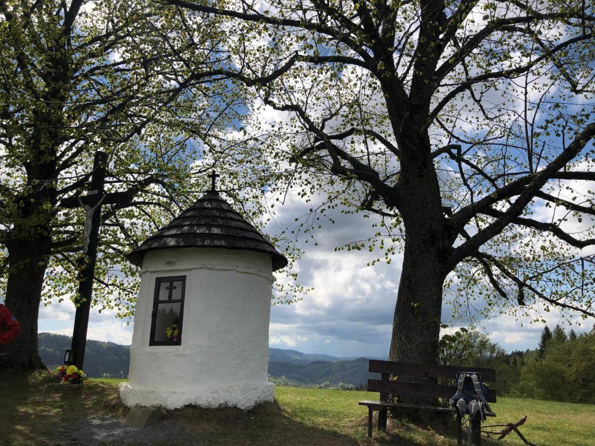 Horska Chalupa Pluskovjanka Velké Karlovice Dış mekan fotoğraf