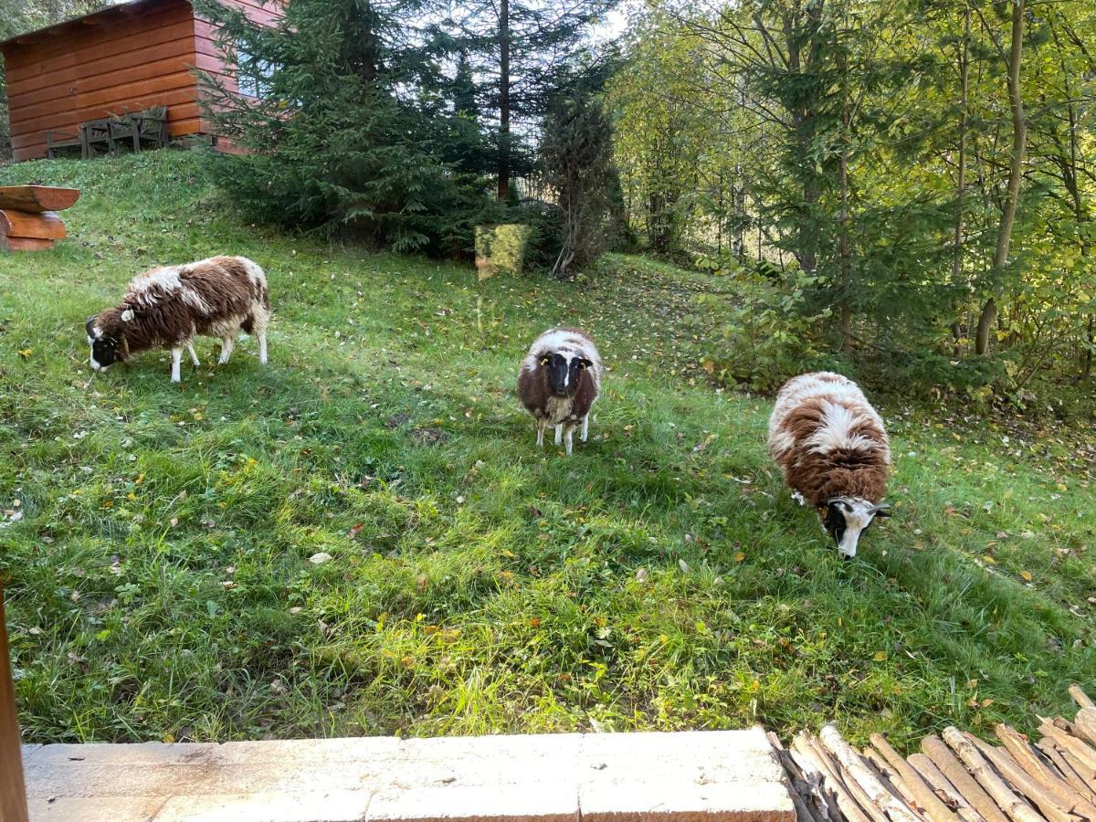 Horska Chalupa Pluskovjanka Velké Karlovice Dış mekan fotoğraf